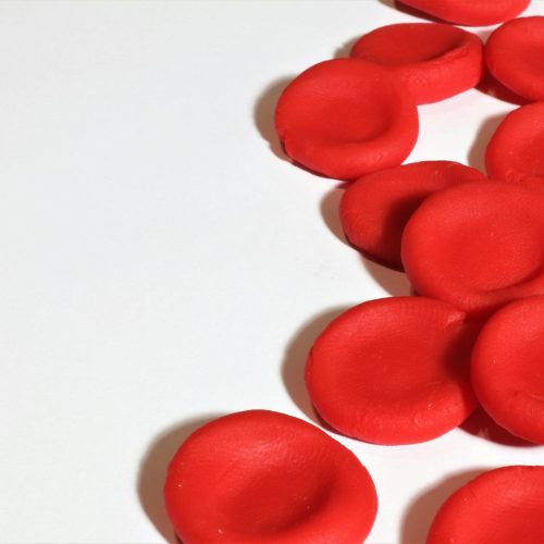 Supercomputação e Hemólise: Revelando Danos em Glóbulos Vermelhos com TACC