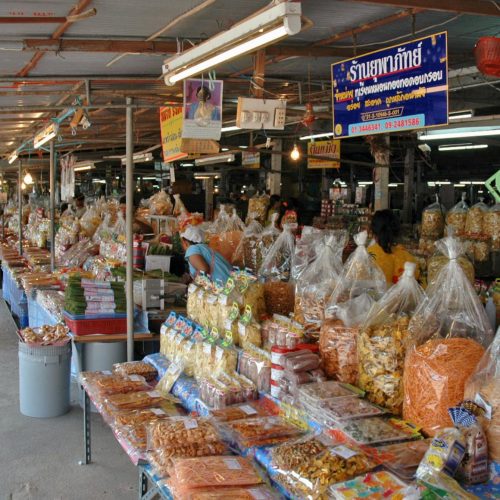 Declínio no Short Interest da SGLY: O Que Isso Significa para o Mercado de Tecnologia